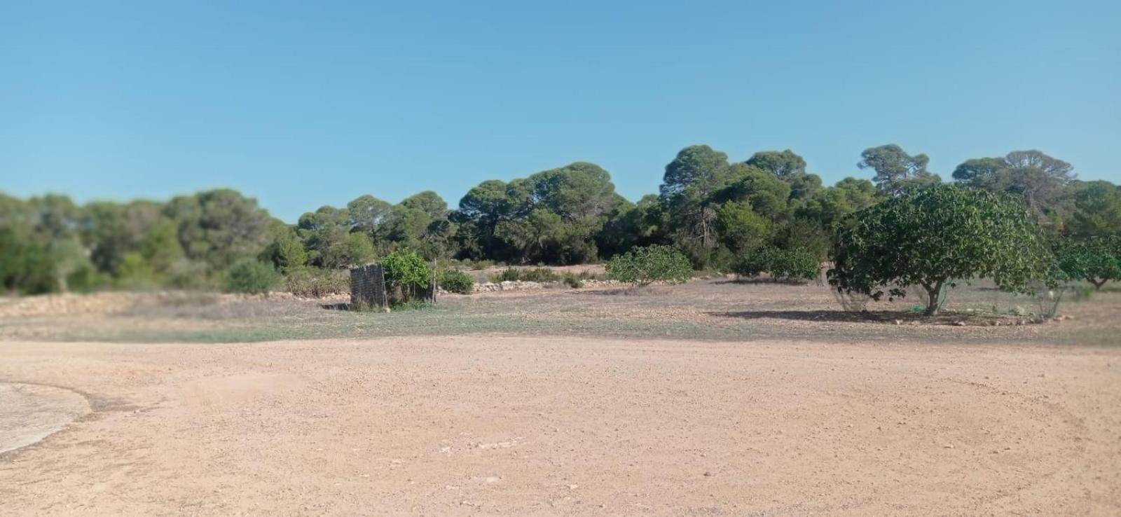 Estudio Cala Saona Luaran gambar